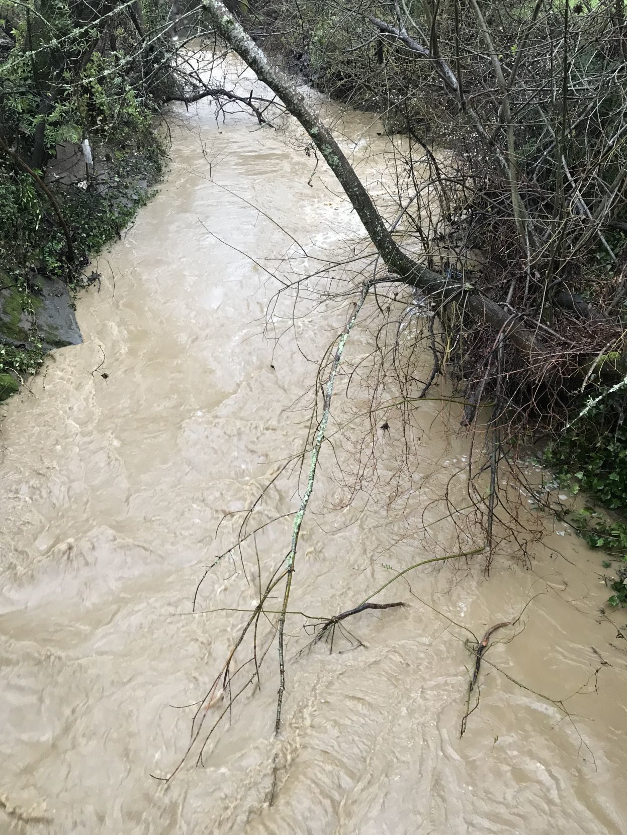 February rains